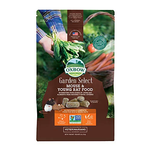 Oxbow Garden Select Mouse and Young Rat Food, Garden-Inspired Recipe for Young Rats and Mice of All Ages, Vitamin & Mineral Rich Pet Food Pellets, Non-GMO, Made in USA, 2 Pound Bag