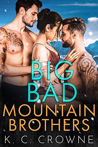 Big Bad Mountain Brothers book cover