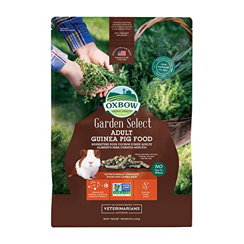 Oxbow Garden Select Guinea Pig Food, Adult, Made Timothy Hay for Guinea Pig, Pet Food Pellets with Vitamin C, Non-GMO, Small Animal Pet Products, Made in USA, High Fiber, 8 lb. Bag