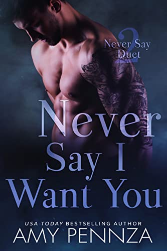 Never Say I Want You cover