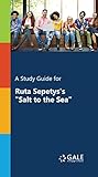 A Study Guide For Ruta Sepetyss Salt To The Sea Novels For Students Book 61 English Edition