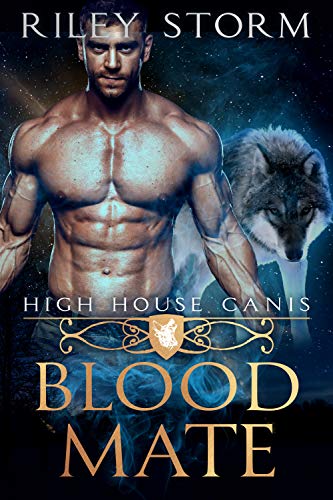 Blood Mate book cover