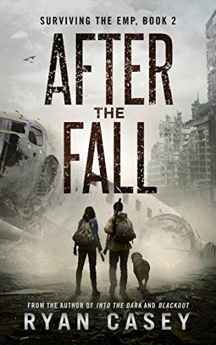 After the Fall book cover