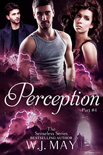 Perception book cover