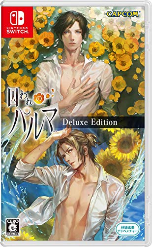 【人気投票】女性向けSwitchソフトランキング！【Switch】　7位　囚われのパルマの画像