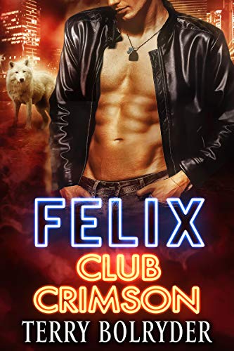 Felix book cover