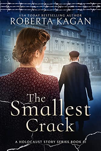 The Smallest Crack book cover
