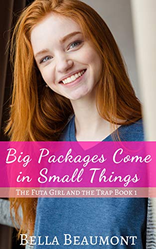Big Packages Come in Small Things book cover