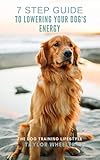 7 Step Guide To Lowering Your Dogs Energy Create A Calm And Focused Dog English Edition