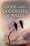 Pagan Portals Gods And Goddesses Of Wales A Practical Introduction To Welsh Deities And Their Stories English Edition