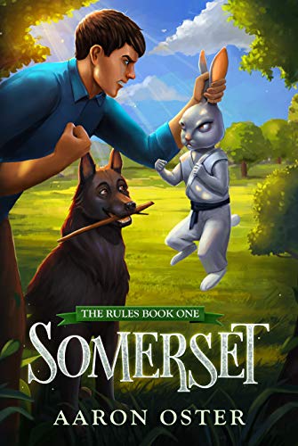 Somerset book cover