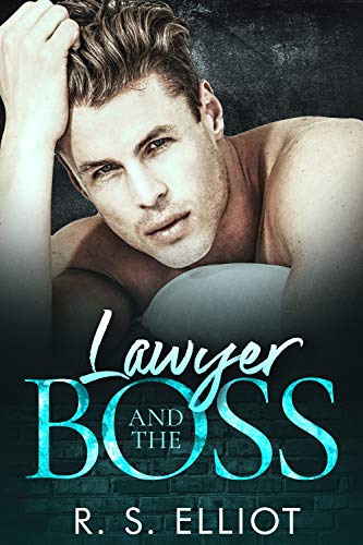 Lawyer and the Boss book cover