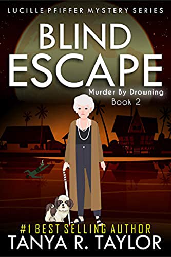 Blind Escape book cover