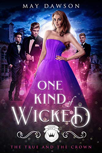 One Kind of Wicked book cover