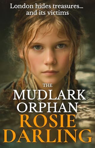 The Mudlark Orphan book cover