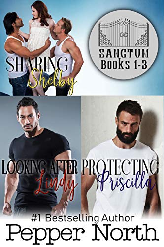 SANCTUM book cover