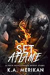 Set Aflame (Four Mercenaries, #2.5)