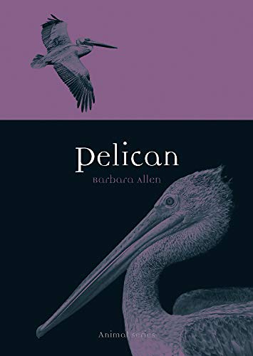 Pelican (By: Barbara Allen) cover
