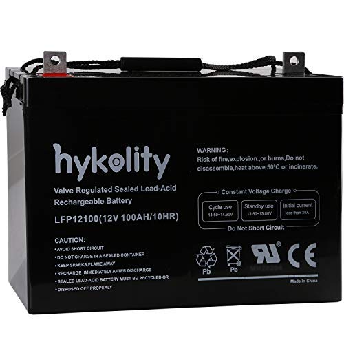 Weize Deep Cycle AGM 12 Volt 100Ah Battery, Maintenance-Free, 3% Self-Discharge Rate, 1150A Max Discharge Current, Perfect for RV, Solar, Trolling Motor, Wind, Marine, Camping and Off-Grid System
