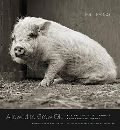 Allowed to Grow Old: Portraits of Elderly Animals from Farm Sanctuaries book cover