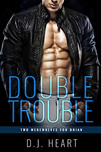 Double Trouble book cover