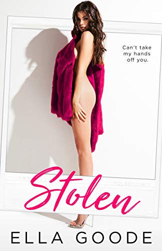 Stolen book cover
