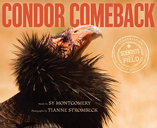 Condor Comeback book cover