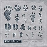 Cover Your Tracks (2019)