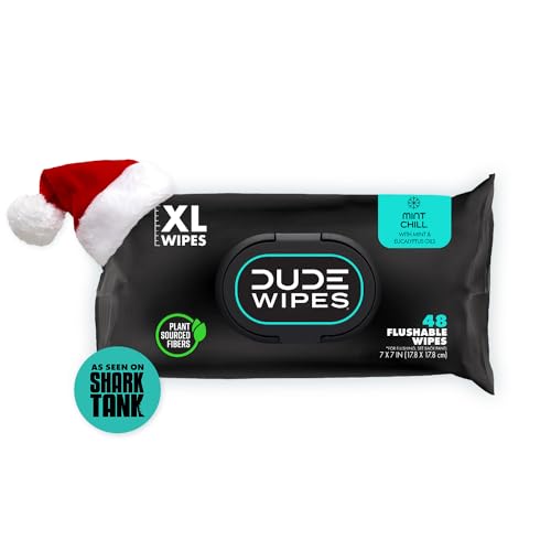 DUDE Wipes - Flushable Wipes Stocking Stuffers - 1 Pack, 48 Count - Mint Chill - Vitamin-E, Aloe, Eucalyptus & Tea Tree Oils - Septic and Sewer Safe