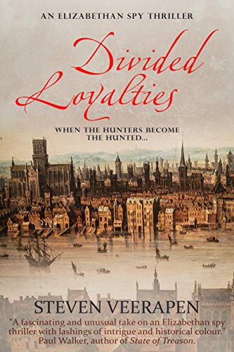 Divided Loyalties book cover