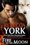 Fire on the Moon (Decorah Security Book 19)