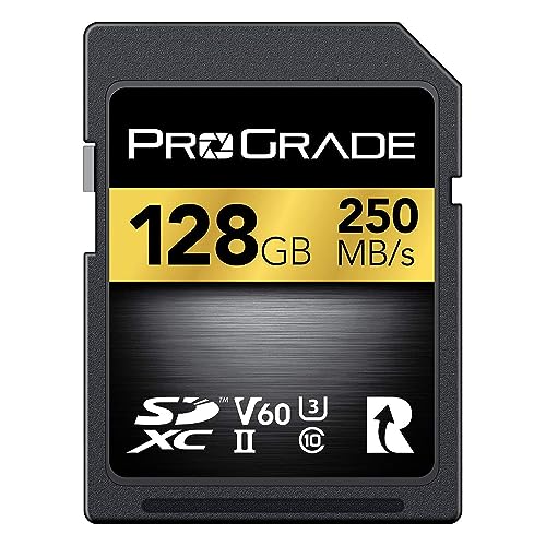 SD UHS-II 128 GB Karte V60 - Schreibgeschwindigkeit bis zu 130MB/s und Lesegeschwindigkeit von 250MB/s | Für professionelle Filmemacher, Fotografen un