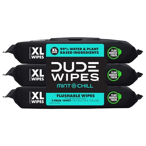 DUDE Wipes - Flushable Wipes - 3 Pack, 144 Wipes - Mint Chill Extra-Large Adult Wet Wipes - Vitamin-E, Aloe, Eucalyptus & Tea Tree Oils - Septic and Sewer Safe