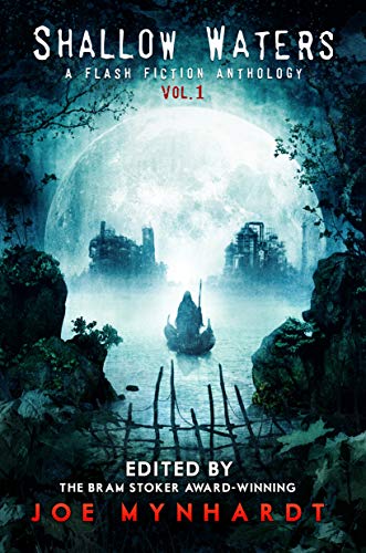 Shallow Waters Vol.1 book cover