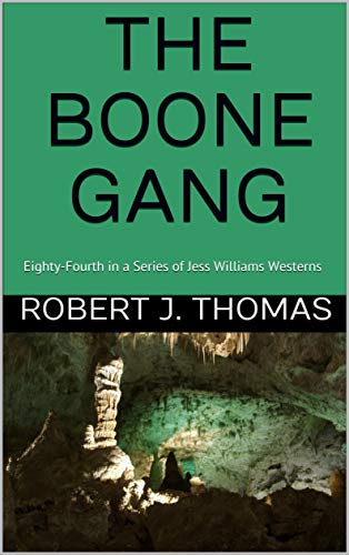 The Boone Gang book cover