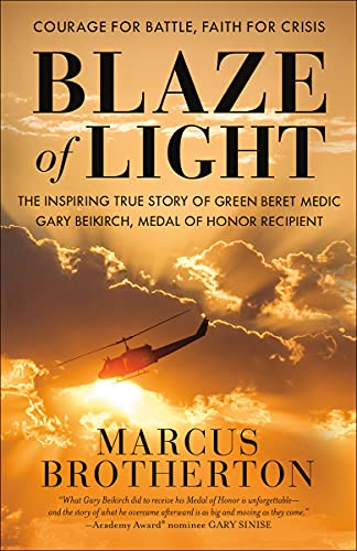 Blaze of Light book cover