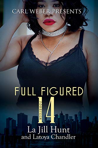 Full Figured 14 book cover