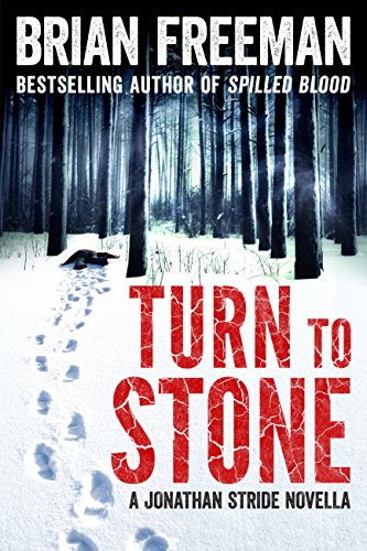 Turn to Stone cover