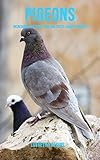 Pigeons Incredible Pictures And Fun Facts About Pigeons English Edition