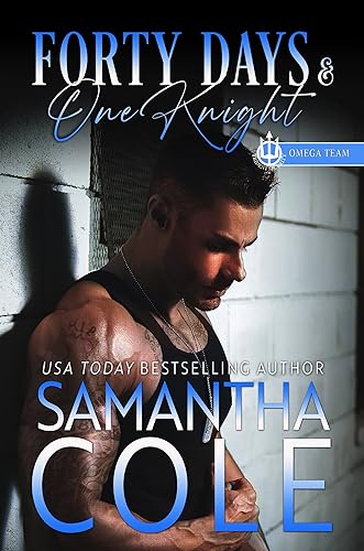 Forty Days and One Knight cover