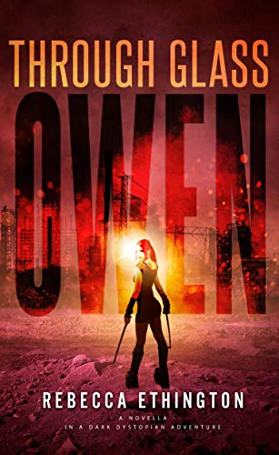 The Light book cover