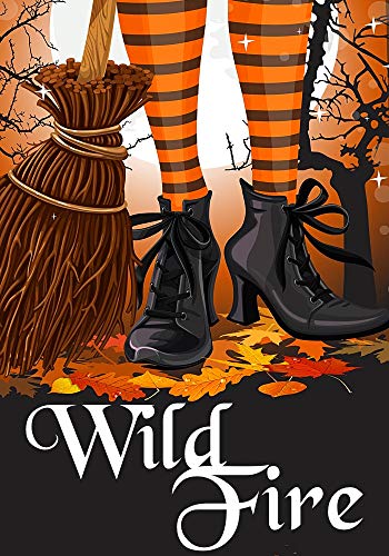 Wild Fire book cover