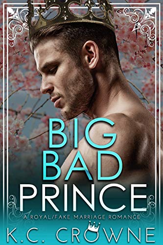 Big Bad Prince book cover