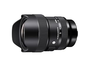 Sigma 14-24mm f/2.8 DG DN Art (Sony E)
