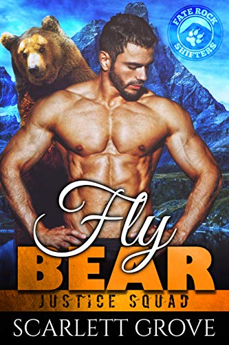Fly Bear book cover