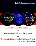 The Recent Advances In Human Brain Organoid System And Their Applications In Disease Modeling An Introductory Review English Edition