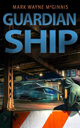 Guardian Ship book cover