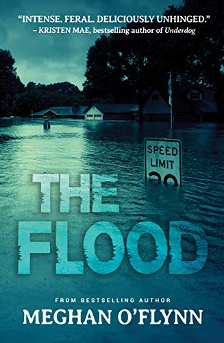 The Flood book cover