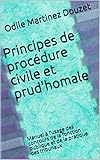 Principes De Procdure Civile Et Prudhomale