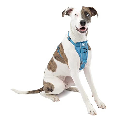 Kurgo Tru-Fit Smart Harness No Pull Dog Harness with Seatbelt Tether